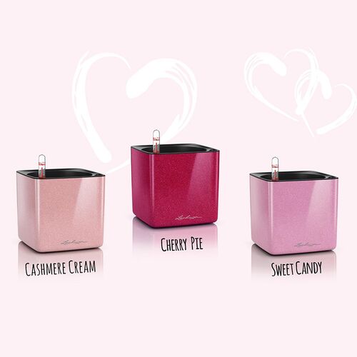 Lechuza Cube Glossy Kiss