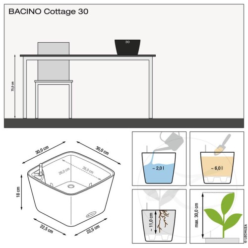 Lechuza Bacino Cottage