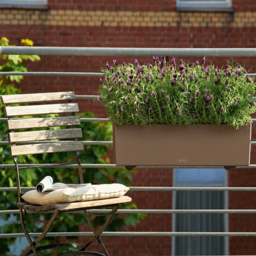 Lechuza Balconera Color