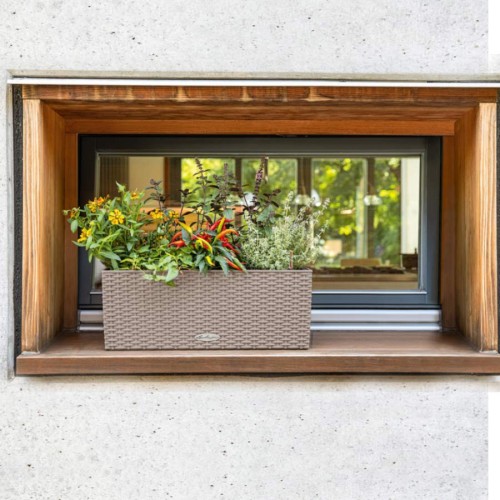 Lechuza Balconera Cottage