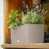 Lechuza Balconera Cottage