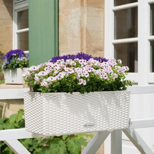 Lechuza Balconera Cottage