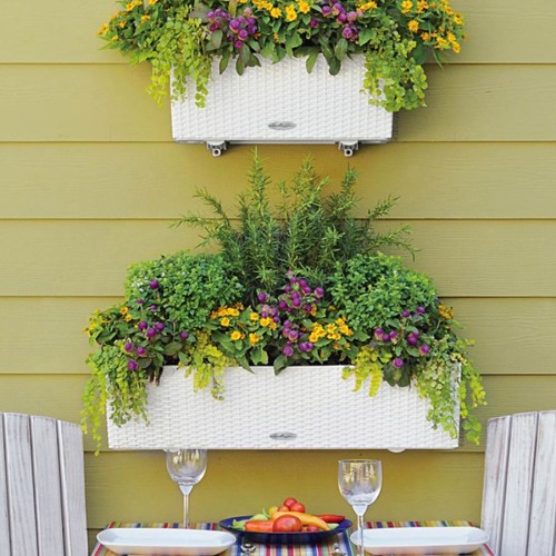 Lechuza Balconera Cottage