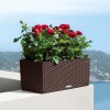 Lechuza Balconera Cottage