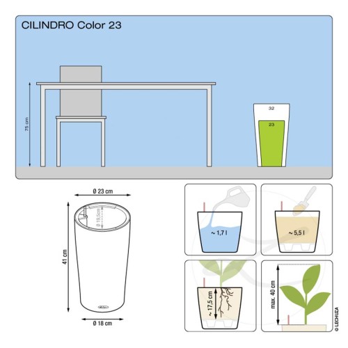 Lechuza Cilindro Color