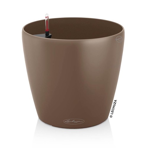 Lechuza Classico Color