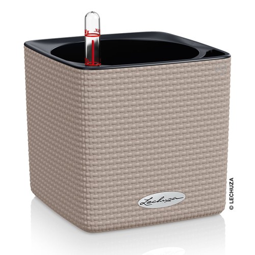 Lechuza Cube Color