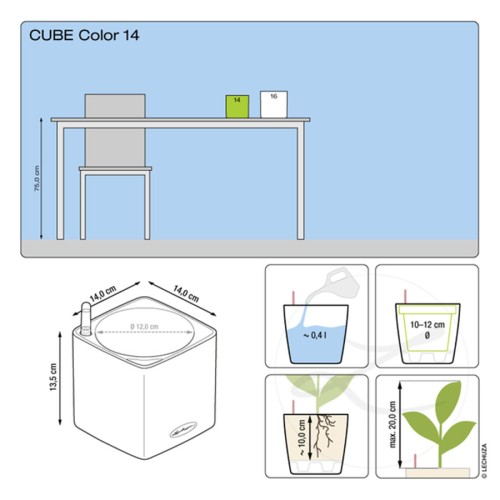 Lechuza Cube Color