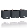 Lechuza Green Wall Home Kit Color