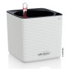 Lechuza Cube Color