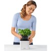 Lechuza Green Wall Home Kit Color