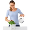 Lechuza Green Wall Home Kit Color