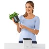 Lechuza Green Wall Home Kit Color