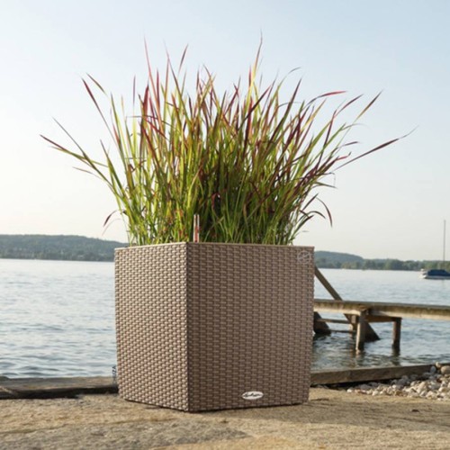 Lechuza Cube Cottage