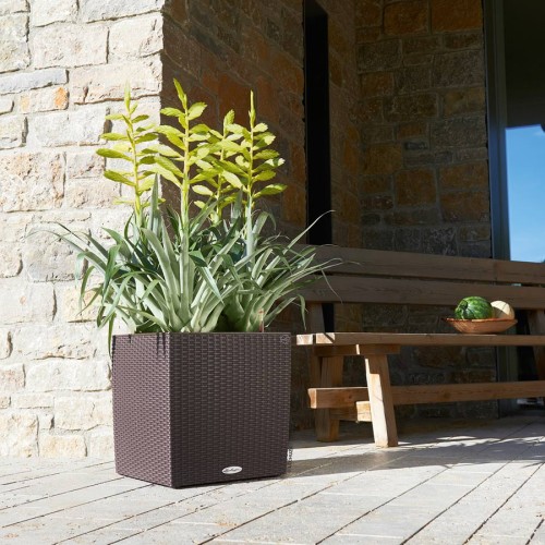 Lechuza Cube Cottage