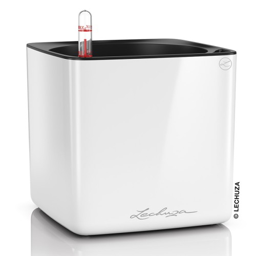 Lechuza Cube Glossy