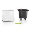Lechuza Cube Glossy