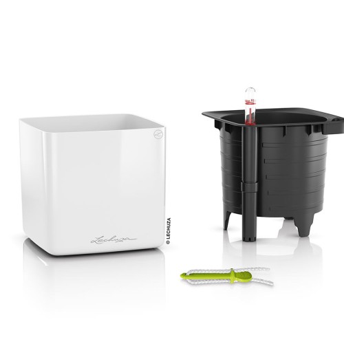 Lechuza Cube Glossy