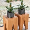 Lechuza Cube Glossy