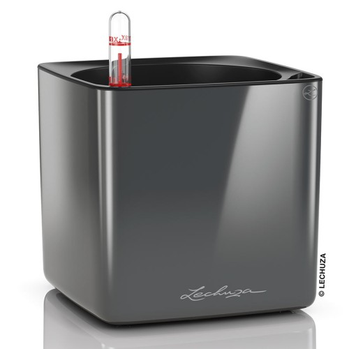 Lechuza Cube Glossy