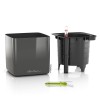 Lechuza Cube Glossy