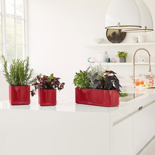 Lechuza Cube Glossy