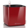 Lechuza Cube Glossy