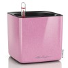 Lechuza Cube Glossy Kiss
