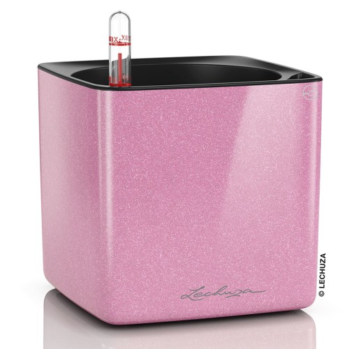 Lechuza Cube Glossy Kiss