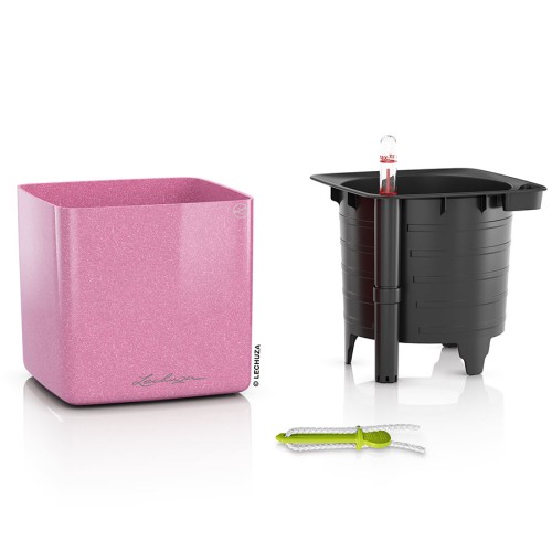 Lechuza Cube Glossy Kiss
