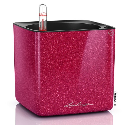 Lechuza Cube Glossy Kiss