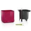 Lechuza Cube Glossy Kiss