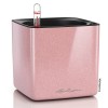 Lechuza Cube Glossy Kiss