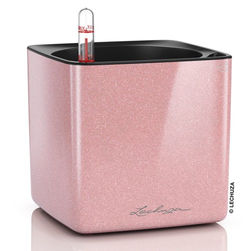 Lechuza Cube Glossy Kiss