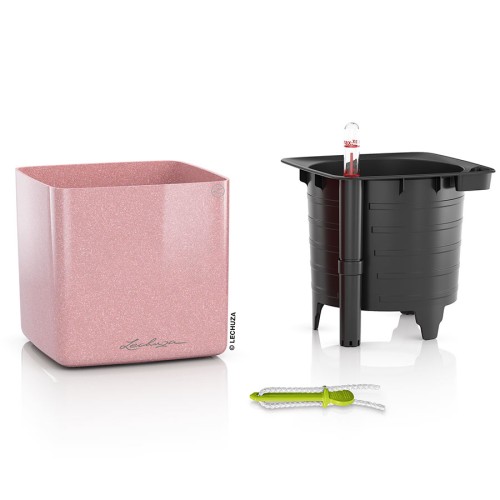 Lechuza Cube Glossy Kiss