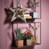 Lechuza Cube Glossy
