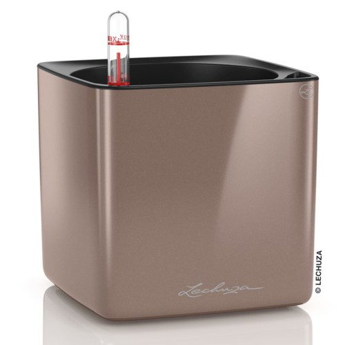 Lechuza Cube Glossy
