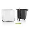 Lechuza Green Wall Home Kit Glossy