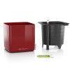 Lechuza Green Wall Home Kit Glossy