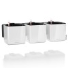 Lechuza Cube Glossy Triple