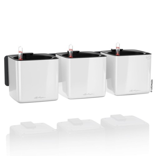 Lechuza Cube Glossy Triple