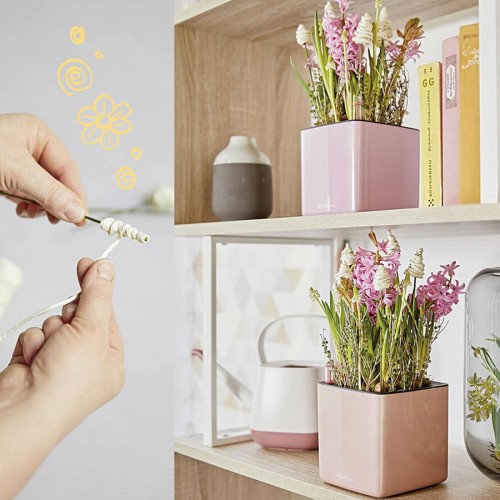 Lechuza Cube Glossy Kiss