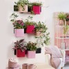 Lechuza Green Wall Home Kit Glossy