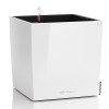 Lechuza Cube