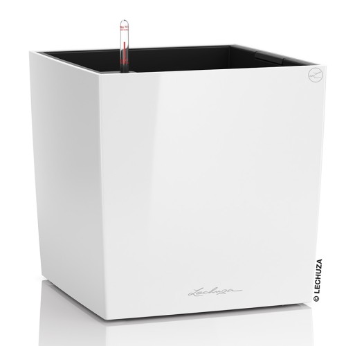 Lechuza Cube
