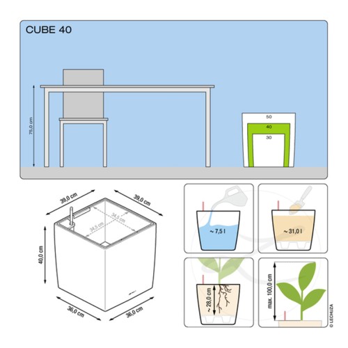 Lechuza Cube