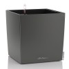 Lechuza Cube