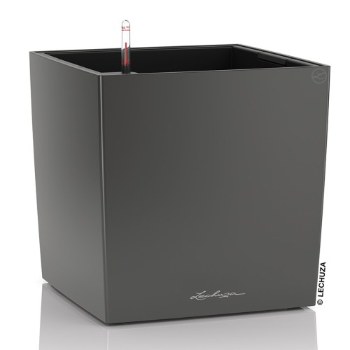 Lechuza Cube