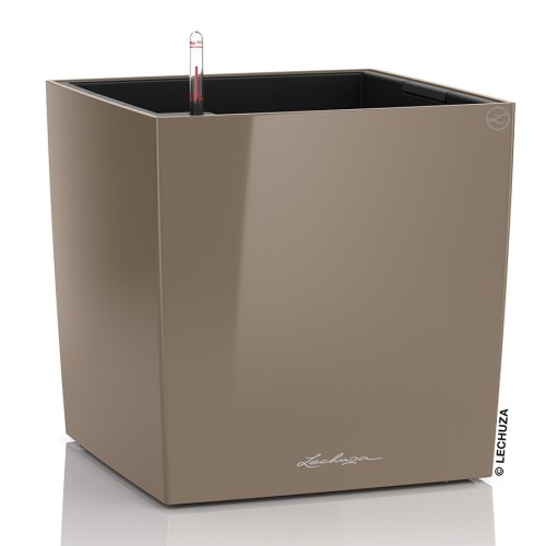 Lechuza Cube