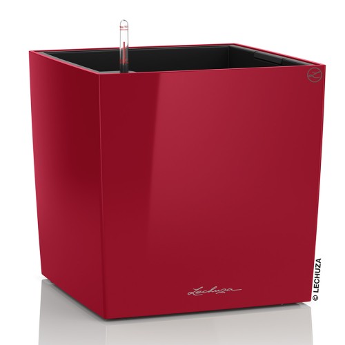 Lechuza Cube